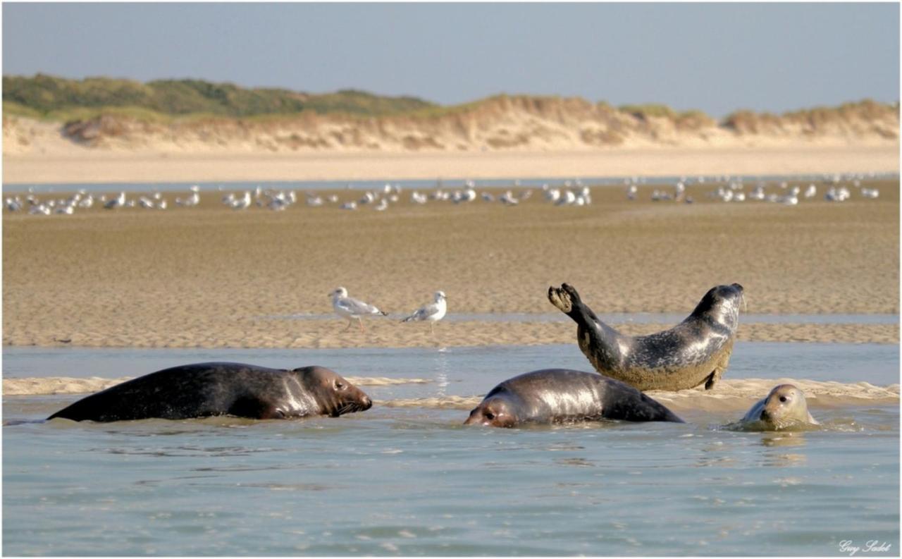 Appart 4-6 Pers Berck-Plage Hyper-Centre Exterior foto